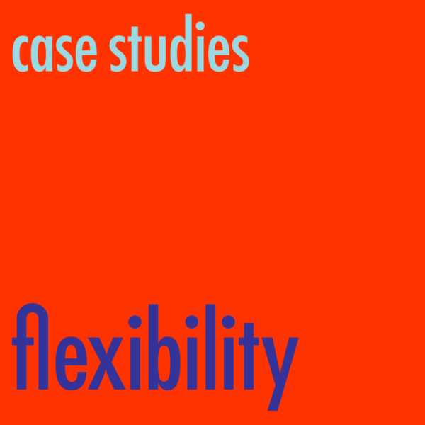 Flex case studies